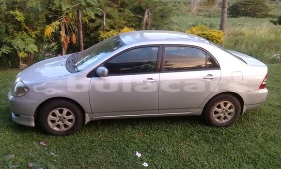 Acheter Occasion Voiture Toyota Corolla Gris à Suva, Central Acheter Occasion Voiture Toyota Corolla Gris à Suva, Central