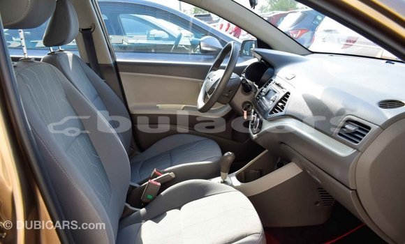 Buy Import Kia Picanto Brown Car in Import - Dubai in Central Buy Import Kia Picanto Brown Car in Import - Dubai in Central