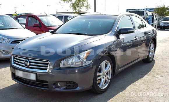 Acheter Import Voiture Nissan Maxima Gris à Import - Dubai, Central Acheter Import Voiture Nissan Maxima Gris à Import - Dubai, Central