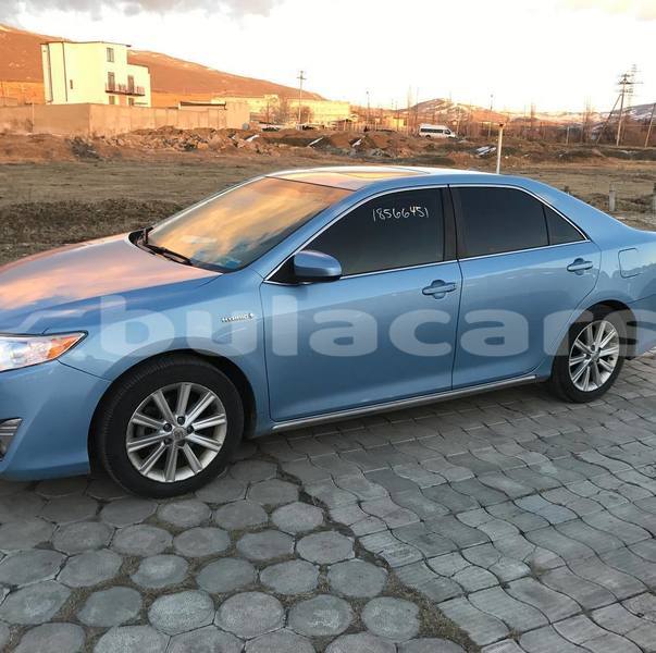 Big with watermark nika goginashvili on instagram %ef%b8%8f carmy toyotac 1 jpg 2