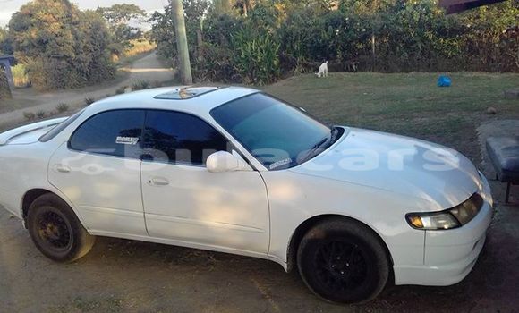 Buy Used Toyota Ceres Other Car in Nadi in Western