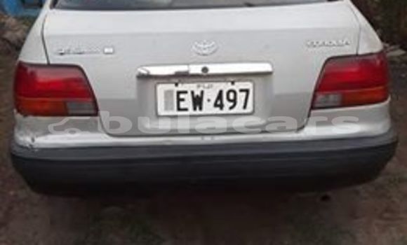 Buy Used Toyota Corolla Silver Car in Lautoka in Western Buy Used Toyota Corolla Silver Car in Lautoka in Western