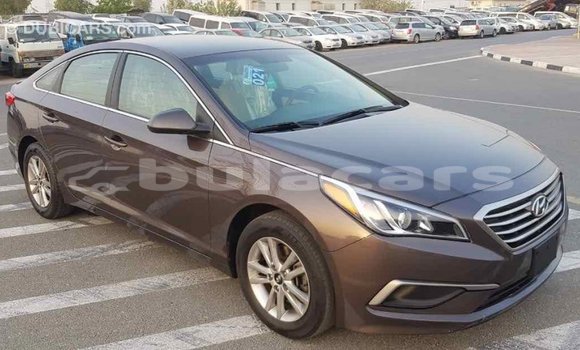 Buy Import Hyundai Sonata Brown Car in Import - Dubai in Central Buy Import Hyundai Sonata Brown Car in Import - Dubai in Central