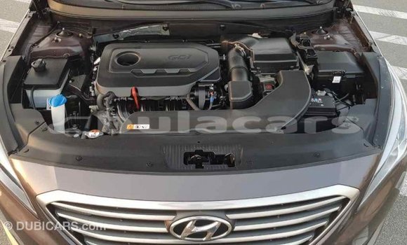 Buy Import Hyundai Sonata Brown Car in Import - Dubai in Central Buy Import Hyundai Sonata Brown Car in Import - Dubai in Central