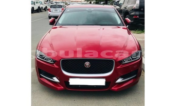 Buy Import Jaguar XE Red Car in Import - Dubai in Central