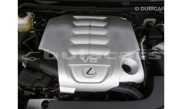 Buy Import Lexus LX White Car in Import - Dubai in Central Buy Import Lexus LX White Car in Import - Dubai in Central