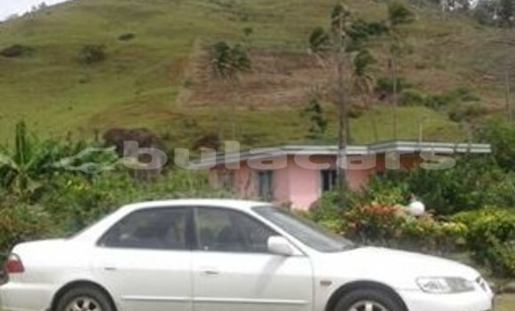 Buy Used Honda Accord Other Car in Lami in Central