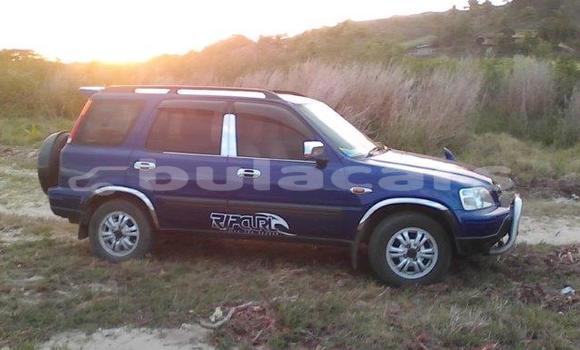 Buy Used Honda CRV Other Car in Korovou in Central