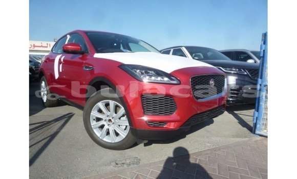 Buy Import Jaguar E-Pace Red Car in Import - Dubai in Central
