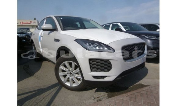 Buy Import Jaguar E-Pace White Car in Import - Dubai in Central