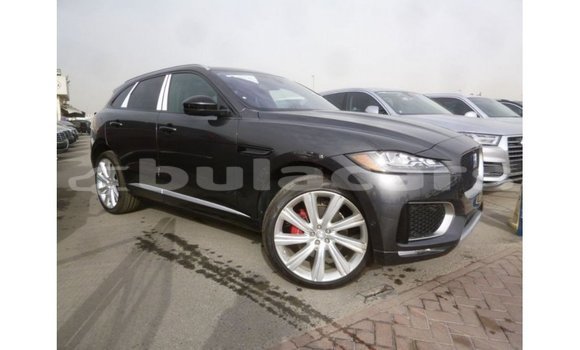 Buy Import Jaguar F-Type Black Car in Import - Dubai in Central