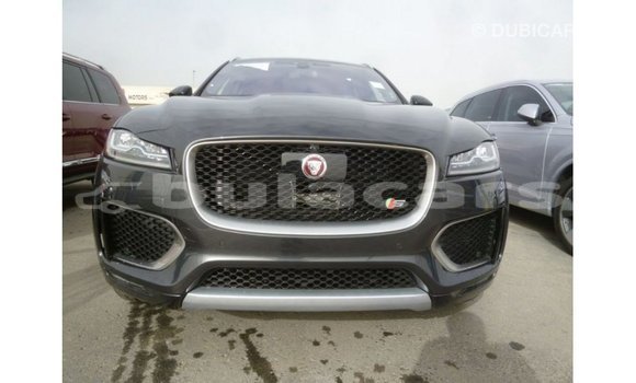Buy Import Jaguar F-Type Black Car in Import - Dubai in Central Buy Import Jaguar F-Type Black Car in Import - Dubai in Central