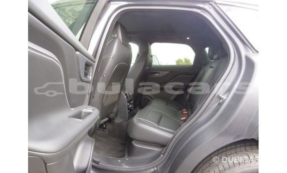 Buy Import Jaguar F-Type Black Car in Import - Dubai in Central Buy Import Jaguar F-Type Black Car in Import - Dubai in Central