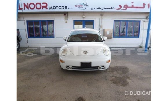 Buy Import Volkswagen Beetle White Car in Import - Dubai in Central Buy Import Volkswagen Beetle White Car in Import - Dubai in Central