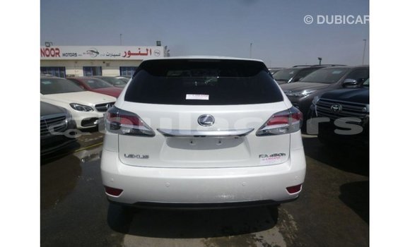 Buy Import Lexus RX White Car in Import - Dubai in Central Buy Import Lexus RX White Car in Import - Dubai in Central
