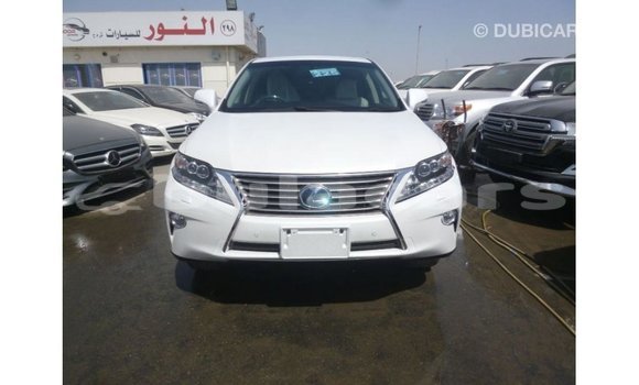 Buy Import Lexus RX White Car in Import - Dubai in Central Buy Import Lexus RX White Car in Import - Dubai in Central