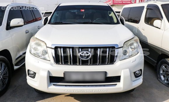 Buy Import Toyota Prado White Car in Import - Dubai in Central Buy Import Toyota Prado White Car in Import - Dubai in Central