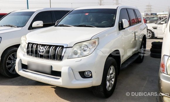 Buy Import Toyota Prado White Car in Import - Dubai in Central Buy Import Toyota Prado White Car in Import - Dubai in Central