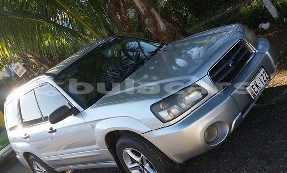 Buy Used Subaru Forrester Other Car in Lautoka in Western