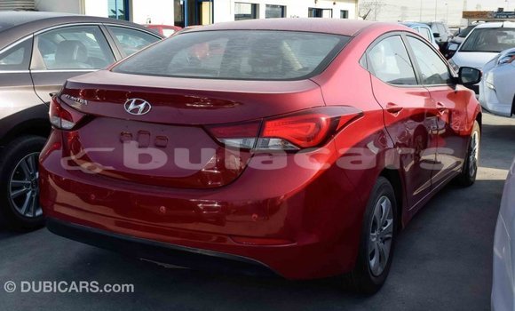 Buy Import Hyundai Elantra Red Car in Import - Dubai in Central Buy Import Hyundai Elantra Red Car in Import - Dubai in Central