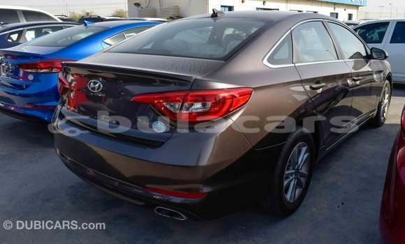 Buy Import Hyundai Sonata Brown Car in Import - Dubai in Central Buy Import Hyundai Sonata Brown Car in Import - Dubai in Central