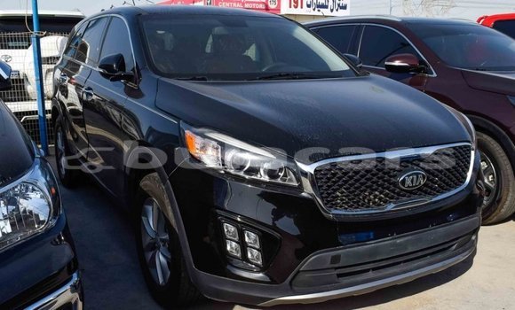 Buy Import Kia Sorento Black Car in Import - Dubai in Central Buy Import Kia Sorento Black Car in Import - Dubai in Central