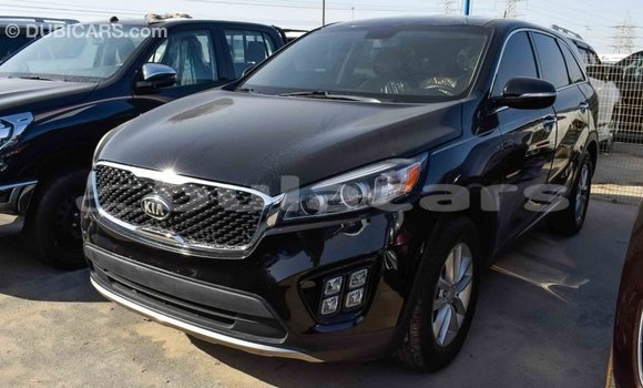 Buy Import Kia Sorento Black Car in Import - Dubai in Central Buy Import Kia Sorento Black Car in Import - Dubai in Central