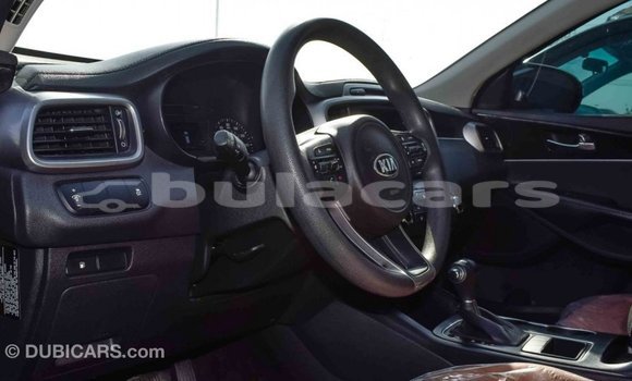 Buy Import Kia Sorento Black Car in Import - Dubai in Central Buy Import Kia Sorento Black Car in Import - Dubai in Central