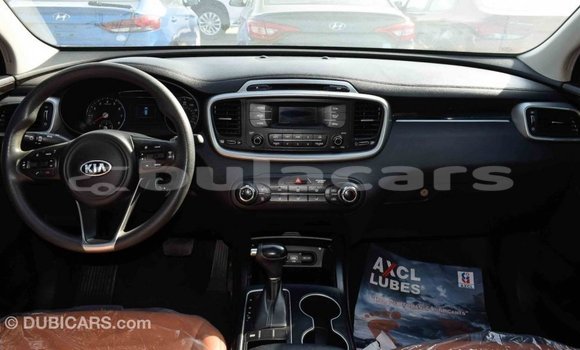 Buy Import Kia Sorento Black Car in Import - Dubai in Central Buy Import Kia Sorento Black Car in Import - Dubai in Central