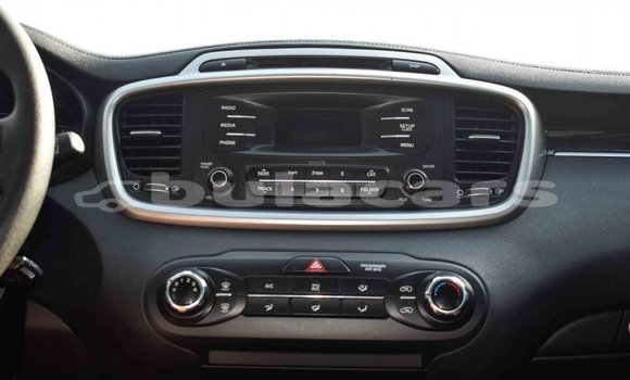 Buy Import Kia Sorento Black Car in Import - Dubai in Central Buy Import Kia Sorento Black Car in Import - Dubai in Central