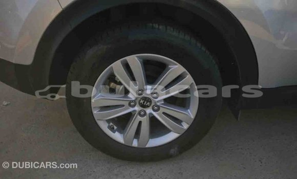 Buy Import Kia Sportage Grey Car in Import - Dubai in Central Buy Import Kia Sportage Grey Car in Import - Dubai in Central