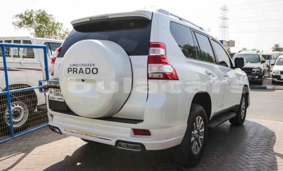 Buy Import Toyota Prado White Car in Import - Dubai in Central Buy Import Toyota Prado White Car in Import - Dubai in Central
