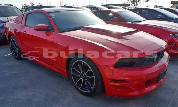 Buy Import Ford Mustang Red Car in Import - Dubai in Central Buy Import Ford Mustang Red Car in Import - Dubai in Central