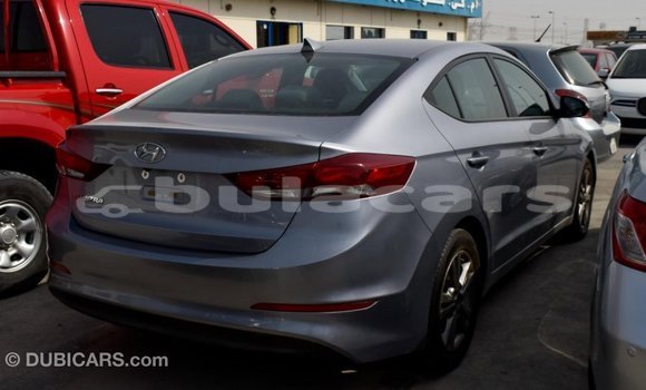 Acheter Import Voiture Hyundai Elantra Gris à Import - Dubai, Central Acheter Import Voiture Hyundai Elantra Gris à Import - Dubai, Central