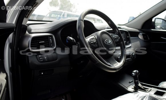 Buy Import Kia Sorento Grey Car in Import - Dubai in Central Buy Import Kia Sorento Grey Car in Import - Dubai in Central