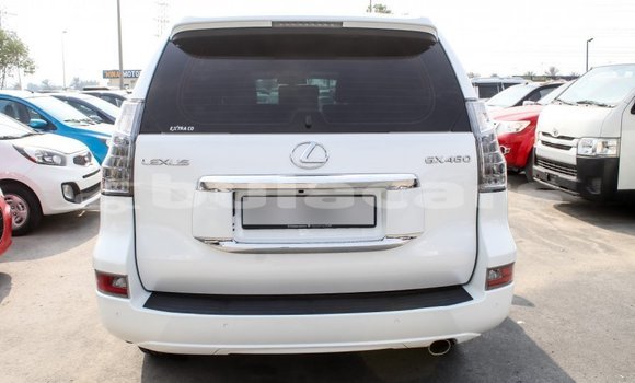 Acheter Import Voiture Lexus GX Blanc à Import - Dubai, Central Acheter Import Voiture Lexus GX Blanc à Import - Dubai, Central