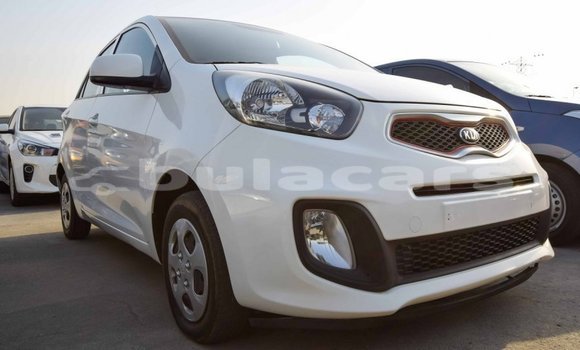 Buy Import Kia Picanto White Car in Import - Dubai in Central Buy Import Kia Picanto White Car in Import - Dubai in Central