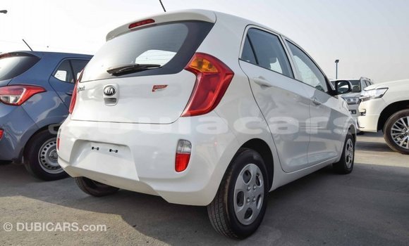 Buy Import Kia Picanto White Car in Import - Dubai in Central Buy Import Kia Picanto White Car in Import - Dubai in Central