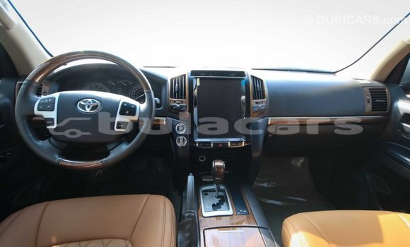 Buy Import Toyota Land Cruiser Brown Car in Import - Dubai in Central Buy Import Toyota Land Cruiser Brown Car in Import - Dubai in Central