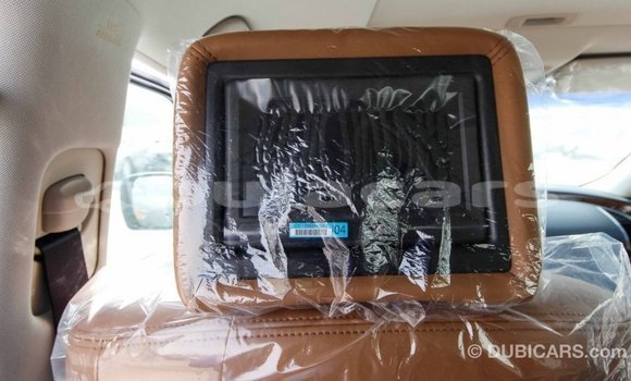 Buy Import Nissan Patrol Brown Car in Import - Dubai in Central Buy Import Nissan Patrol Brown Car in Import - Dubai in Central