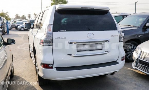 Buy Import Lexus GX White Car in Import - Dubai in Central Buy Import Lexus GX White Car in Import - Dubai in Central