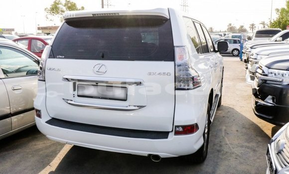 Buy Import Lexus GX White Car in Import - Dubai in Central Buy Import Lexus GX White Car in Import - Dubai in Central