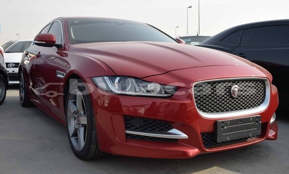 Buy Import Jaguar XE Red Car in Import - Dubai in Central