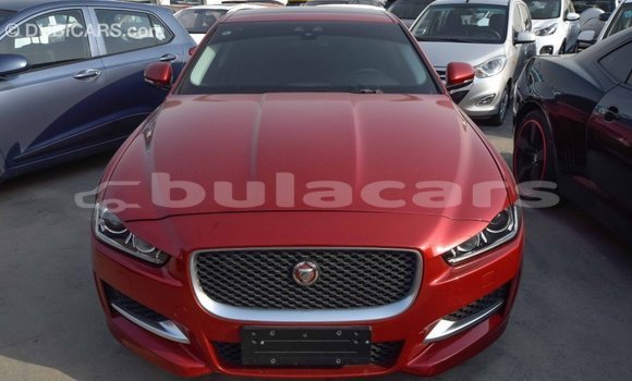 Buy Import Jaguar XE Red Car in Import - Dubai in Central Buy Import Jaguar XE Red Car in Import - Dubai in Central