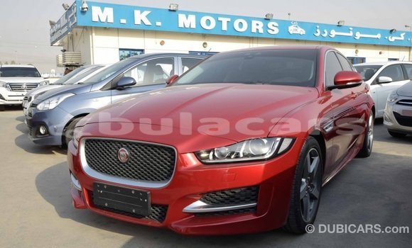 Buy Import Jaguar XE Red Car in Import - Dubai in Central Buy Import Jaguar XE Red Car in Import - Dubai in Central