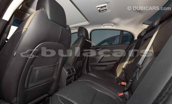 Buy Import Jaguar XE Red Car in Import - Dubai in Central Buy Import Jaguar XE Red Car in Import - Dubai in Central