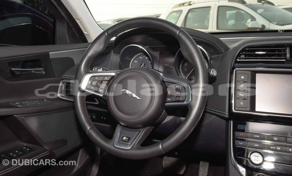 Buy Import Jaguar XE Red Car in Import - Dubai in Central Buy Import Jaguar XE Red Car in Import - Dubai in Central