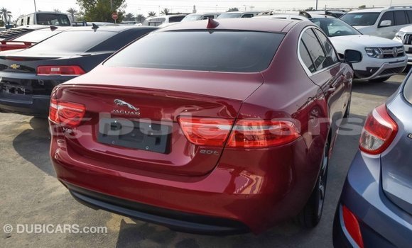 Buy Import Jaguar XE Red Car in Import - Dubai in Central Buy Import Jaguar XE Red Car in Import - Dubai in Central