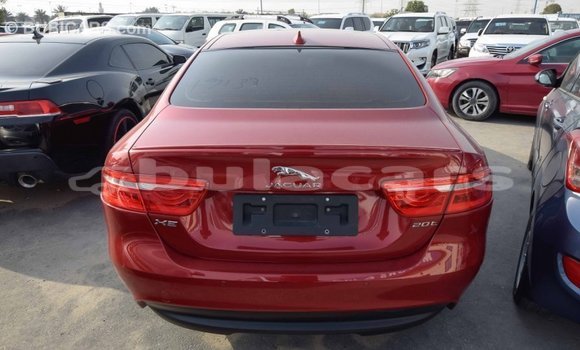 Buy Import Jaguar XE Red Car in Import - Dubai in Central Buy Import Jaguar XE Red Car in Import - Dubai in Central