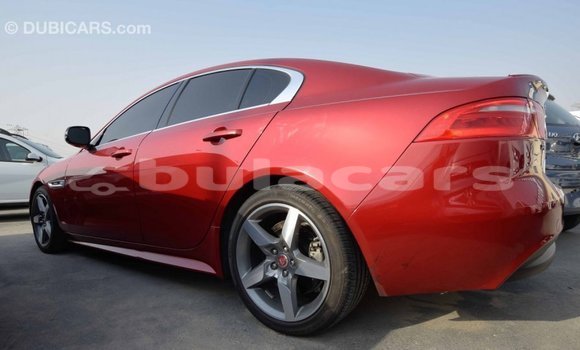 Buy Import Jaguar XE Red Car in Import - Dubai in Central Buy Import Jaguar XE Red Car in Import - Dubai in Central